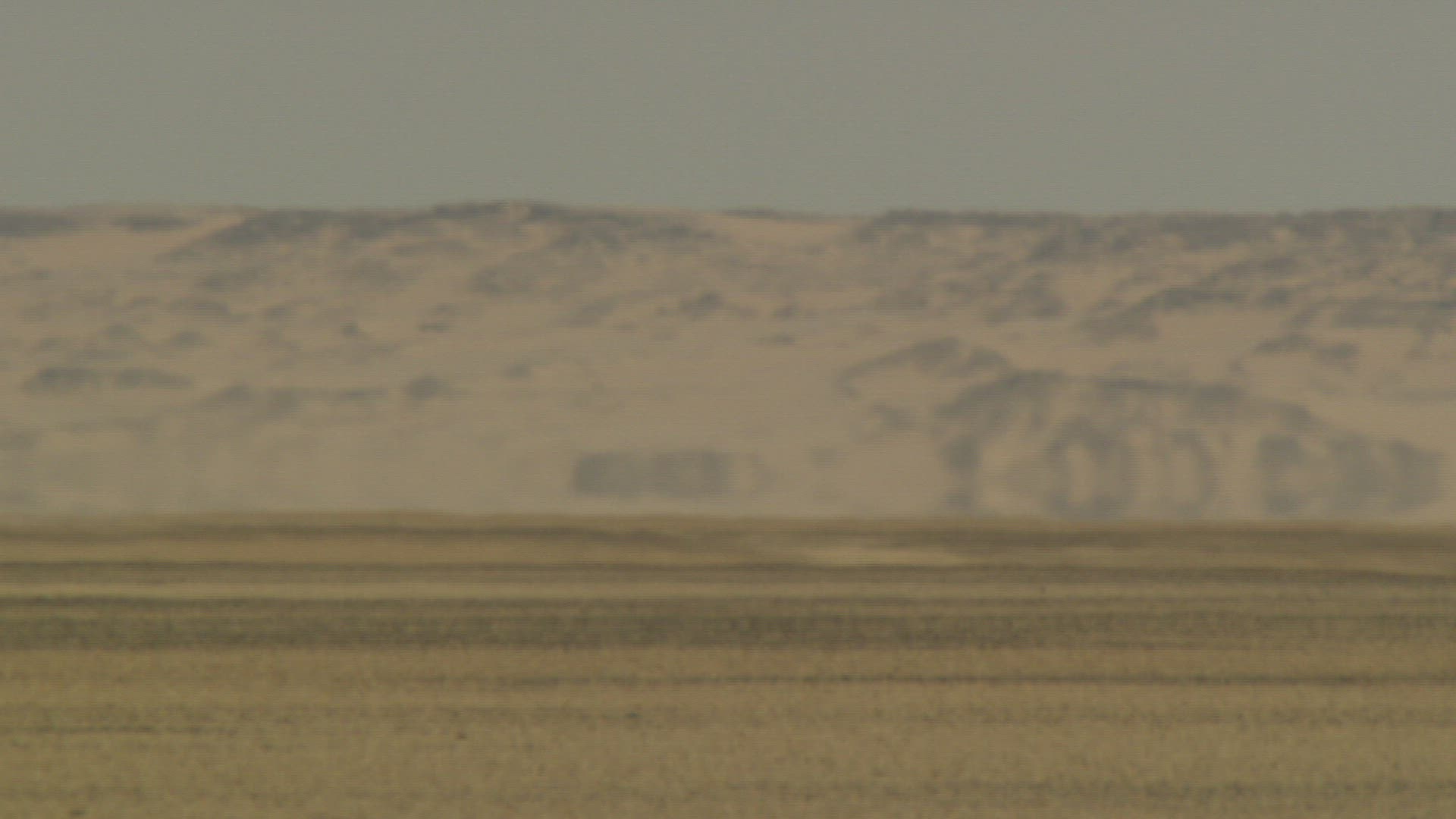 784314666 / Arid Climate / Sahara / Africa