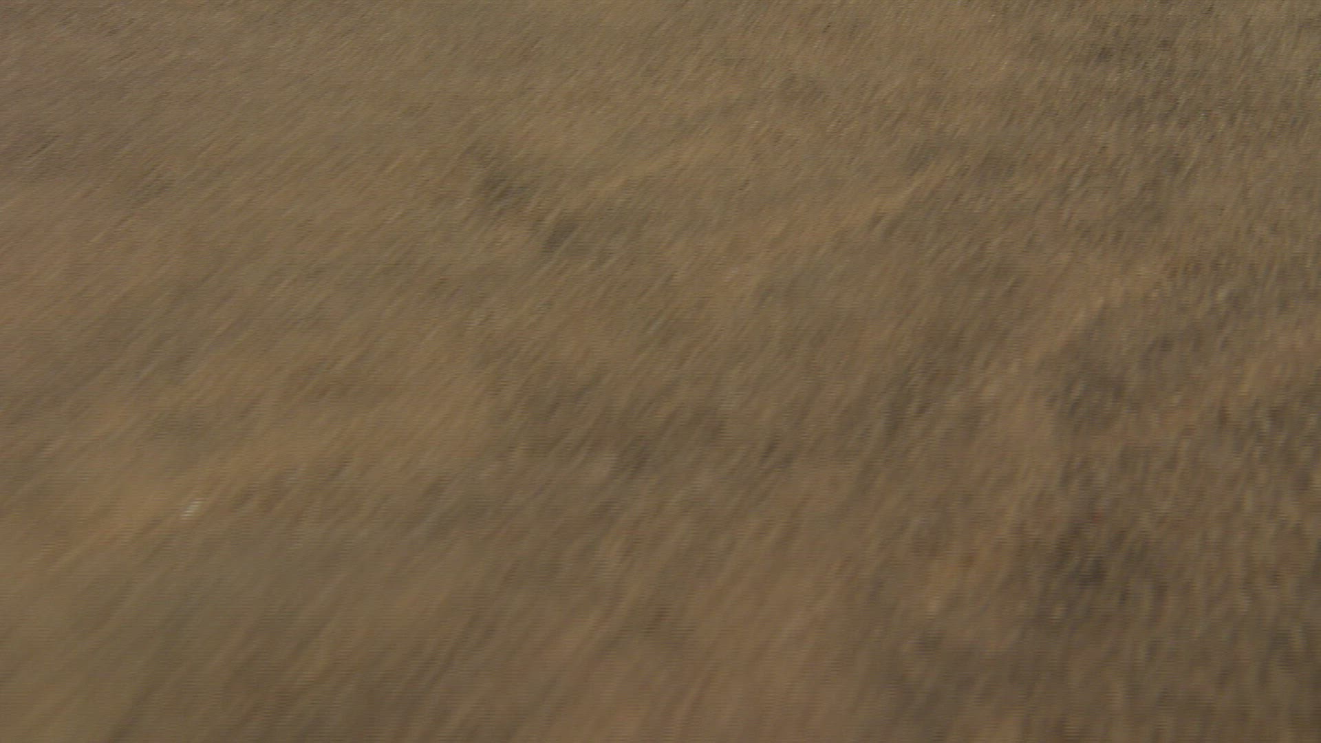 587675244 / Arid Climate / Sahara / Africa