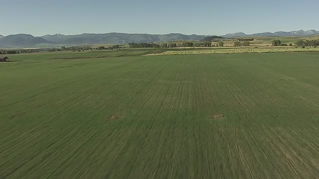 CineFlex of Farming Sprinklers and Hay Bales