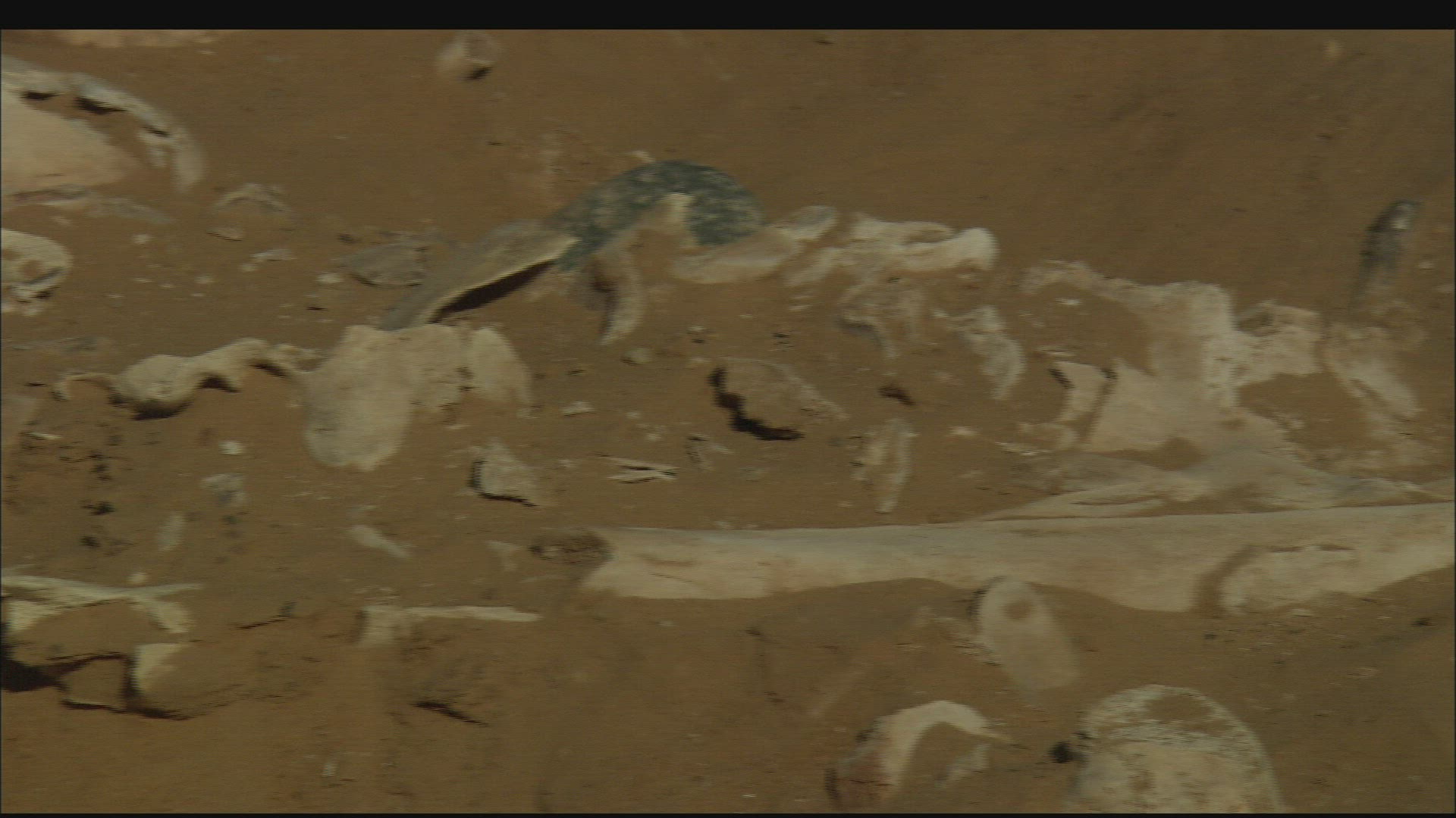 247396146 / Excavation Site / Archeological Site / Africa