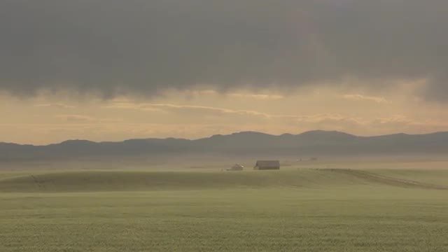 Barn and Silo in Farming Field with reveal of a Deer in a Driveway