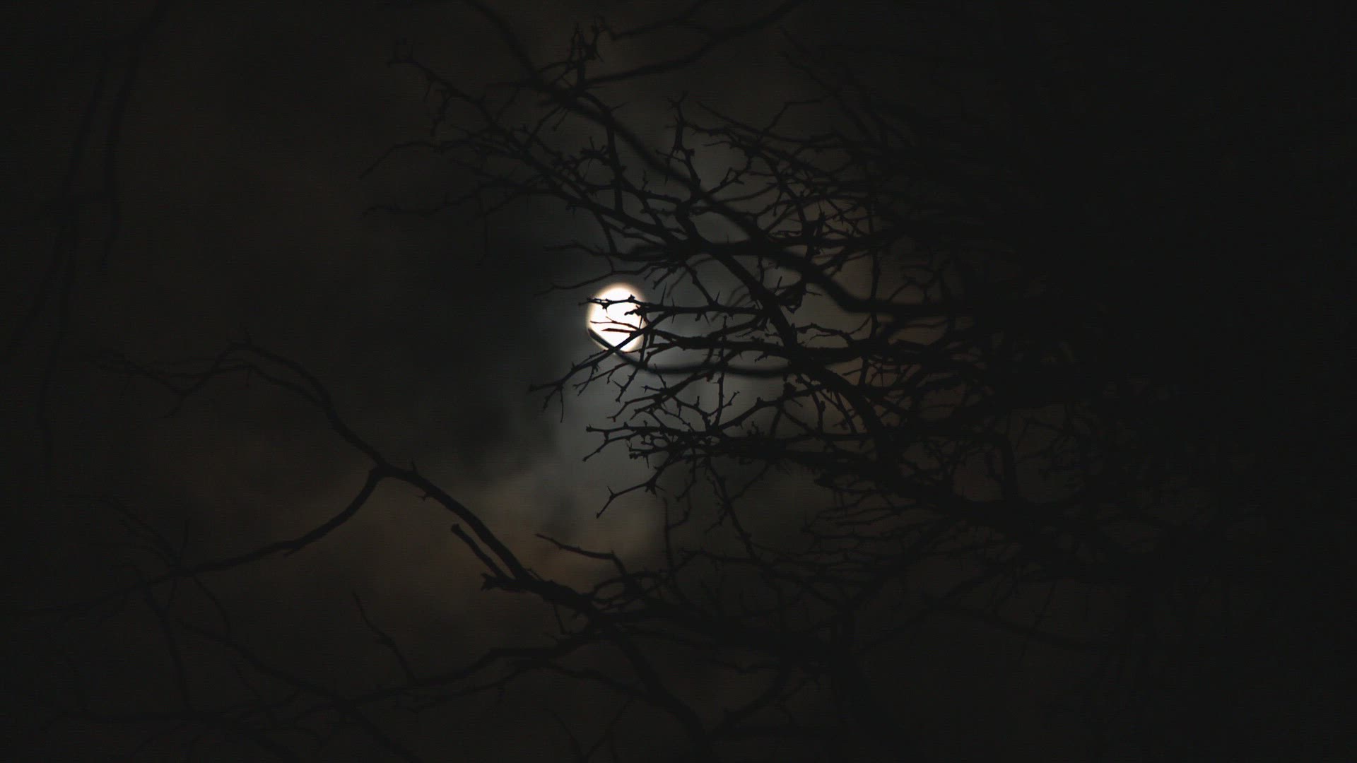 671272569 / Moon / Northern Cape / South Africa / Timelapse