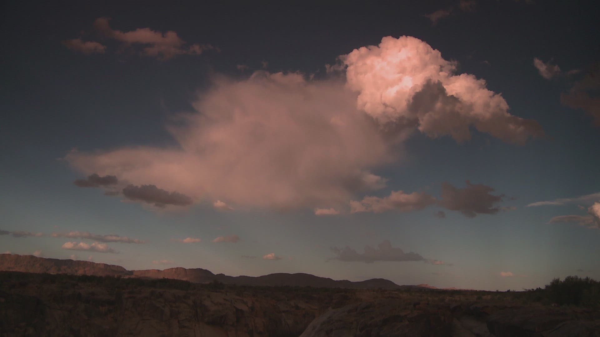 999038275 / Savannah / Northern Cape / South Africa / Timelapse