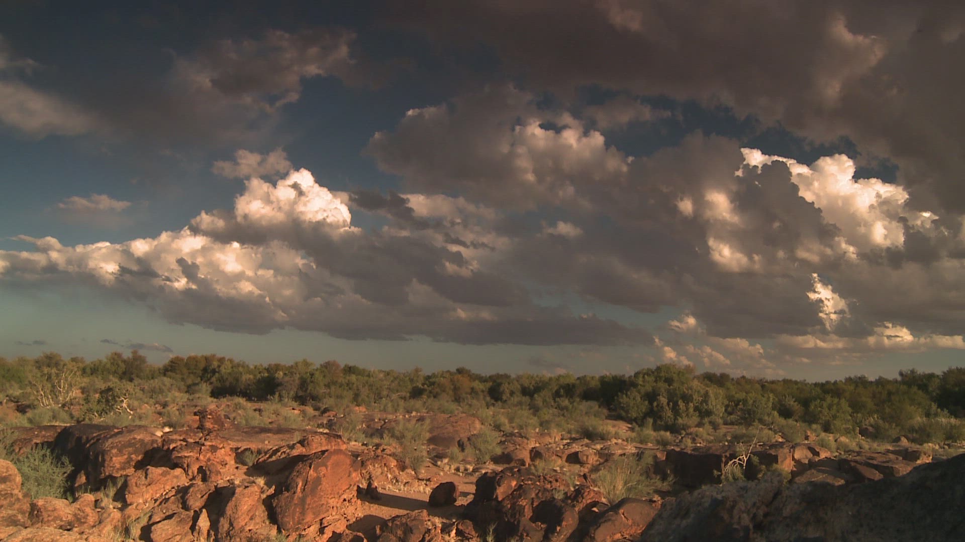 782933939 / Savannah / Northern Cape / South Africa / Timelapse