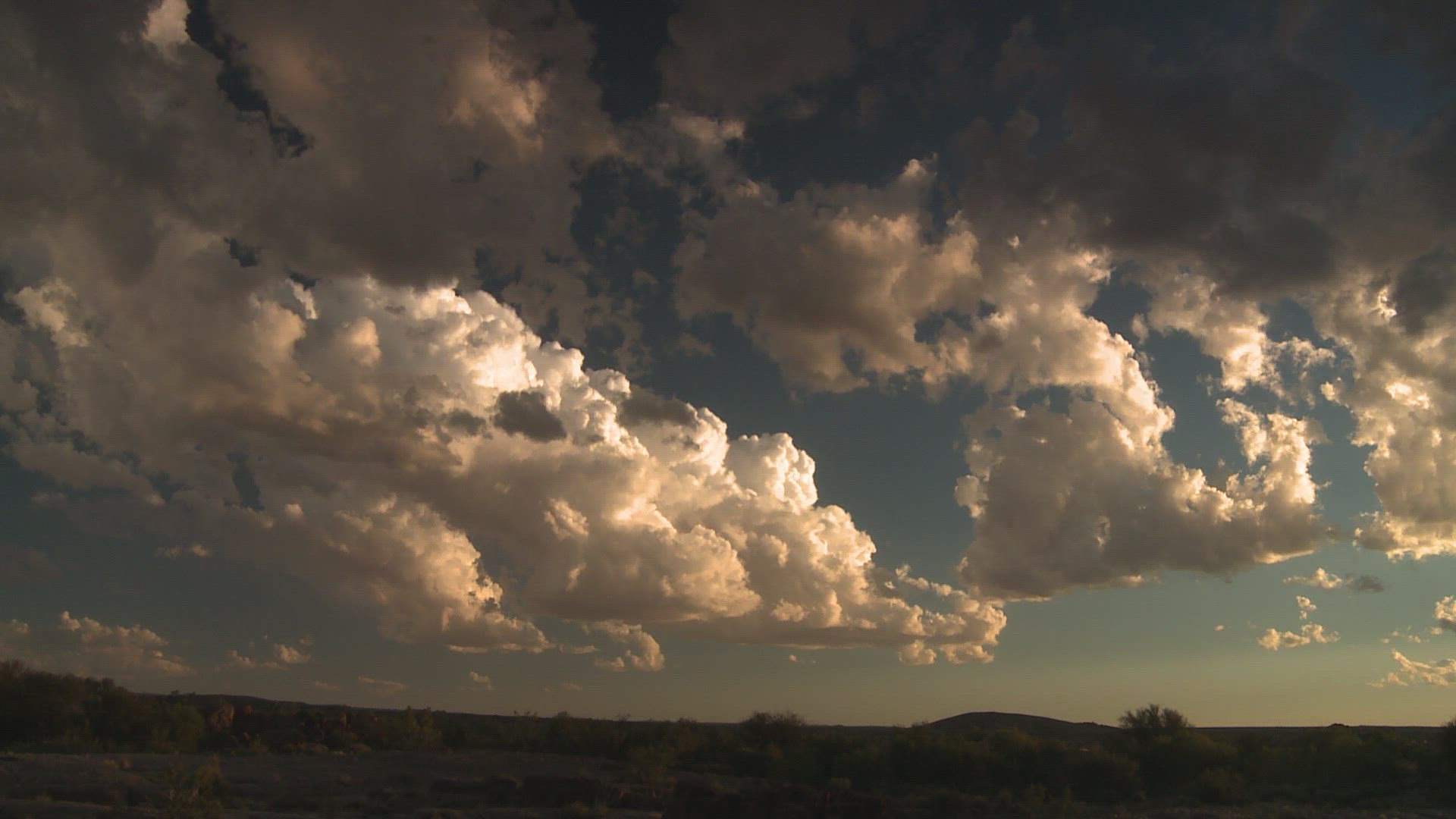 983331057 / Savannah / Northern Cape / South Africa / Timelapse