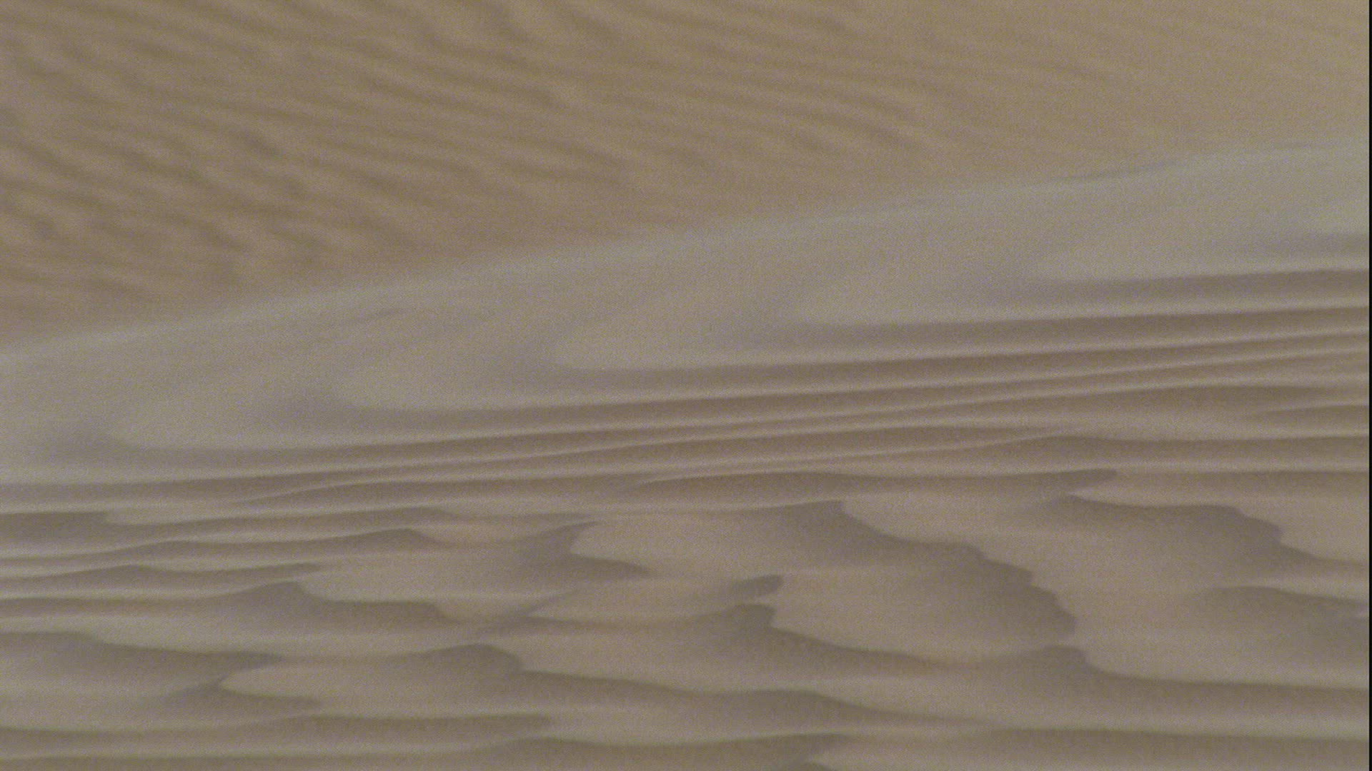 418528514 / Jerboa / Sahara / Africa