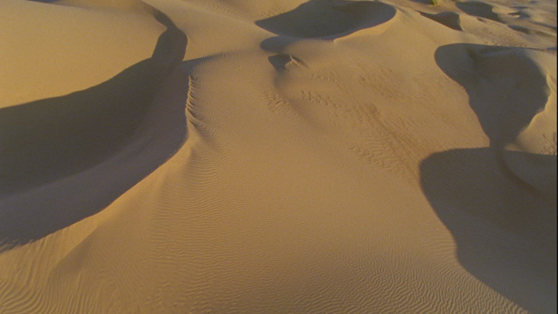 648569897 / Dune / Sahara / Africa