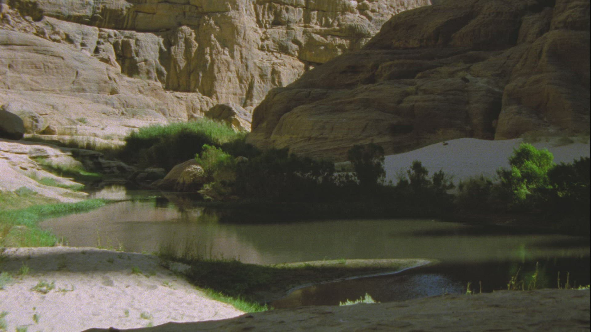132477407 / Bird / Guelta d'Archei / Chad
