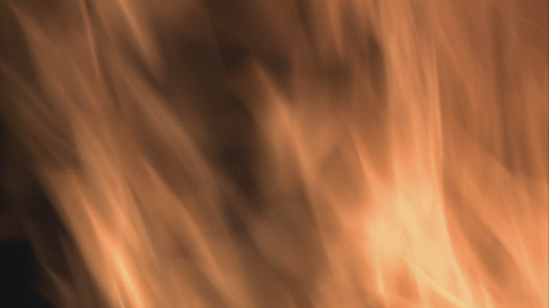 570899830 / Fire / Kindling