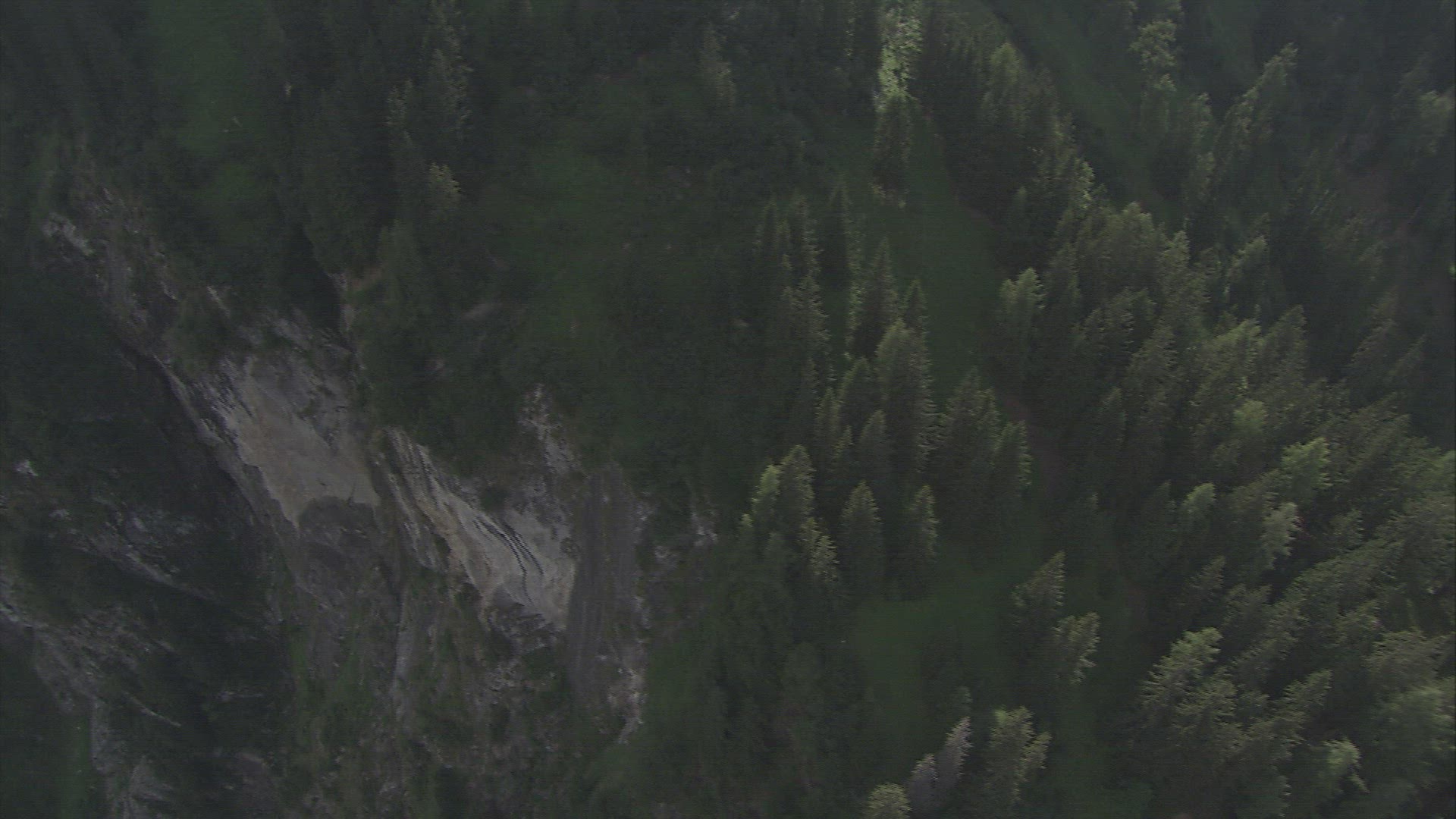 703131629 / Mountain Forest / Hohe Tauern / Austria