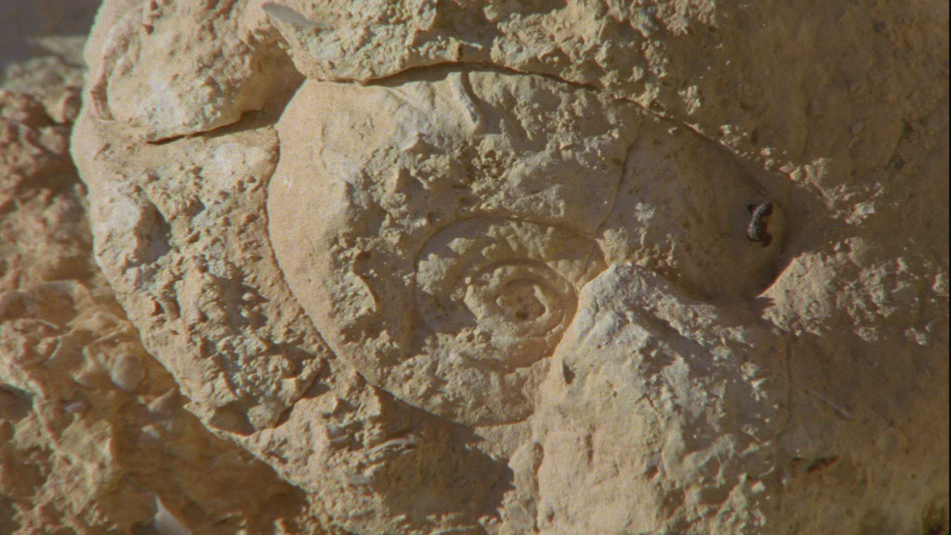 545251840 / Rock Formation / Sahara / Africa