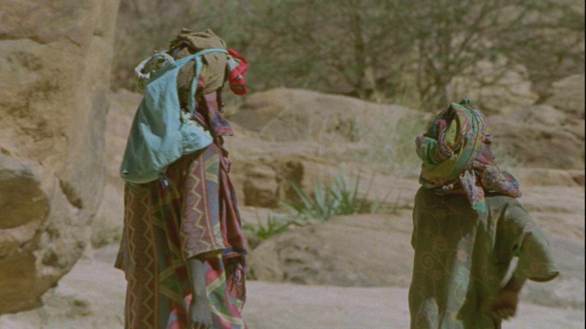 253917446 / People / Guelta d'Archei / Chad