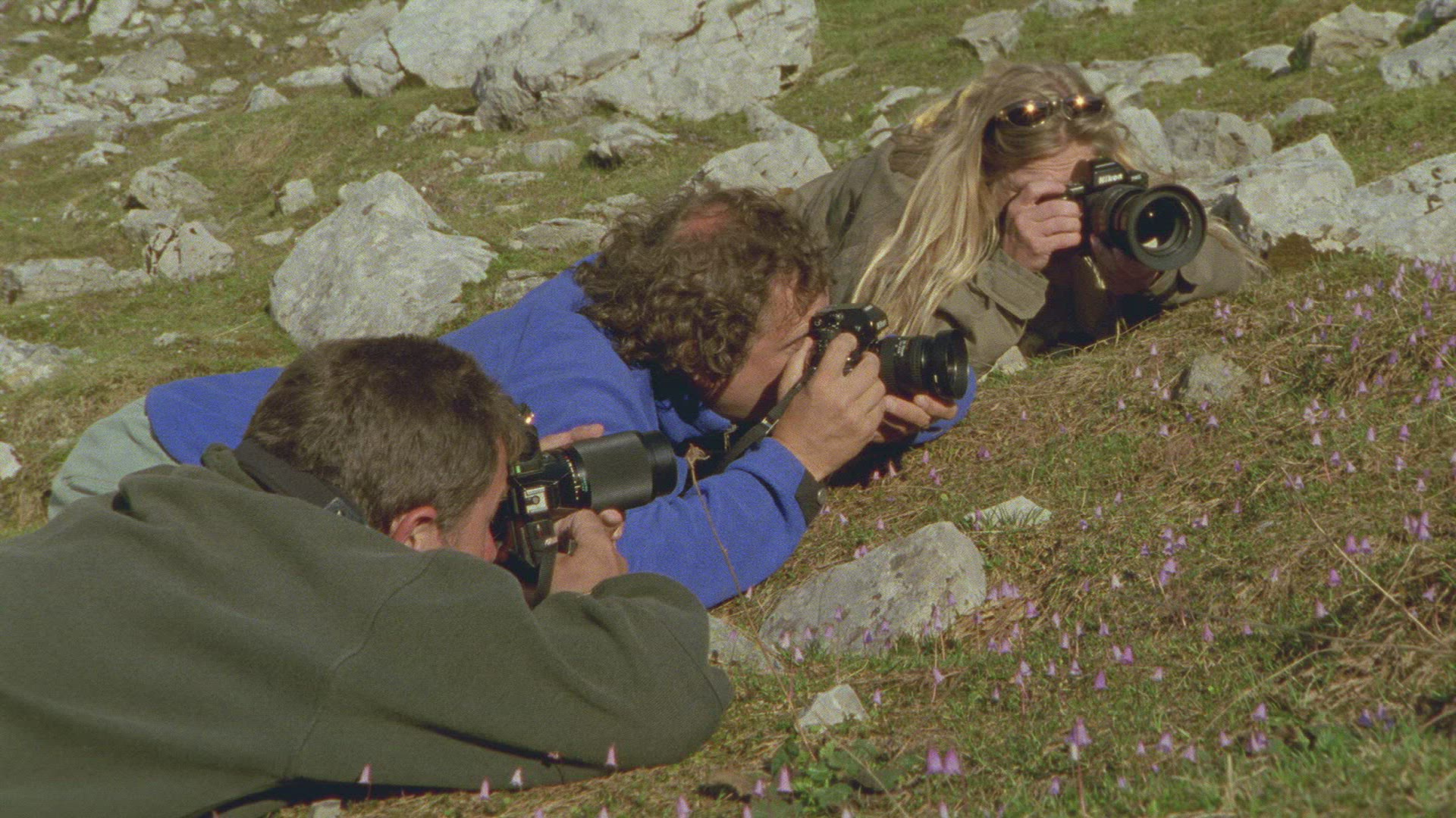 444027026 / Photographing / Lutra / Alps