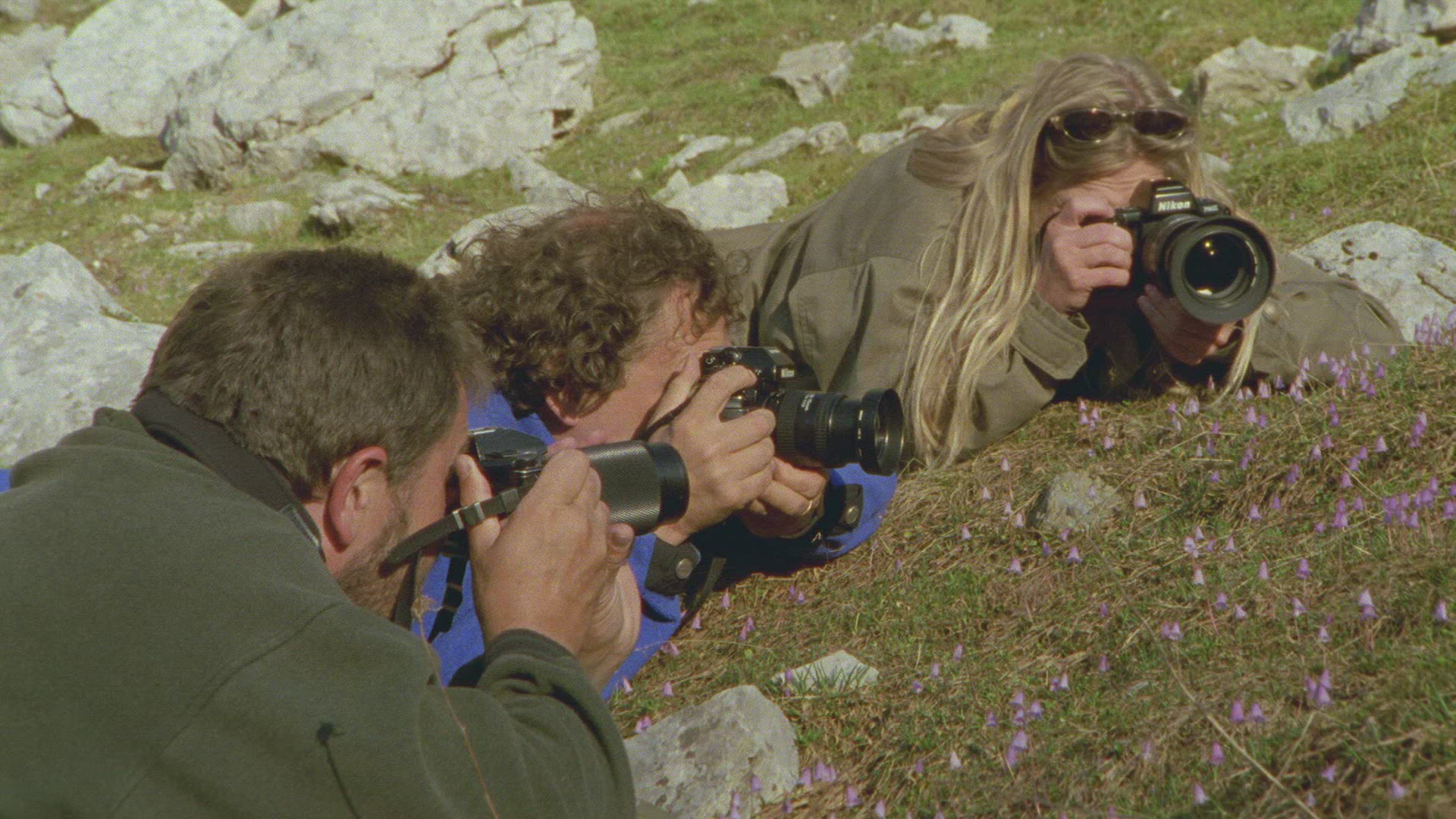 654779500 / Photographing / Lutra / Alps