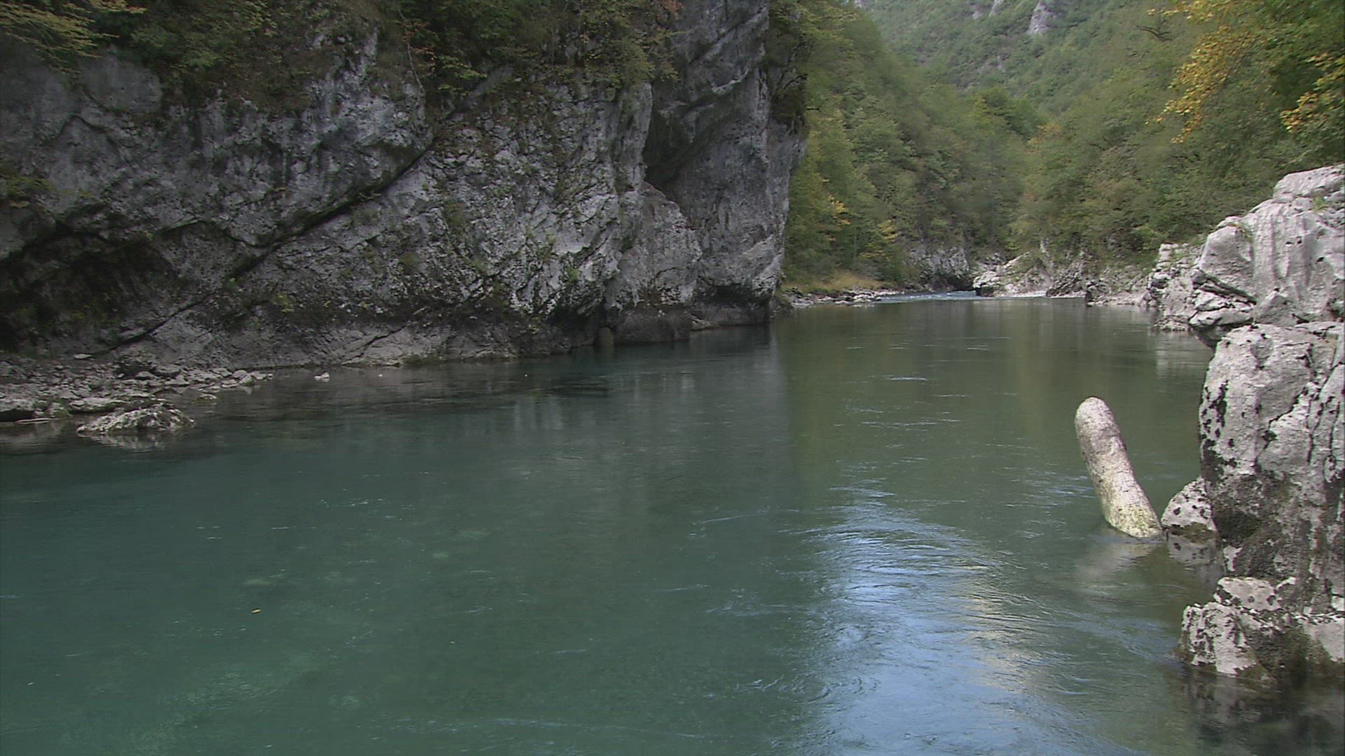 464971282 / Scenic / Tara Canyon / Montenegro