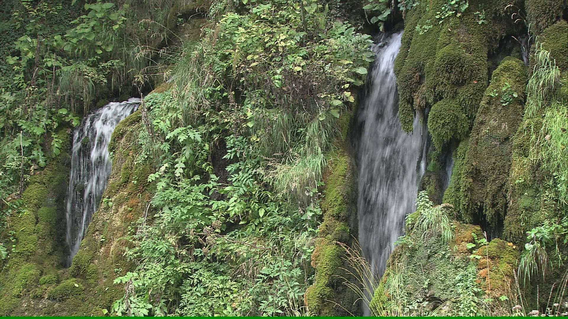 627725379 / Scenic / Tara Canyon / Montenegro