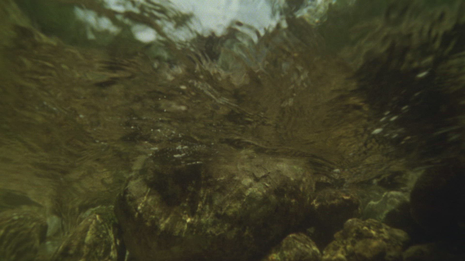 555014988 / Stream / Current / Water Surface / Underwater Shot