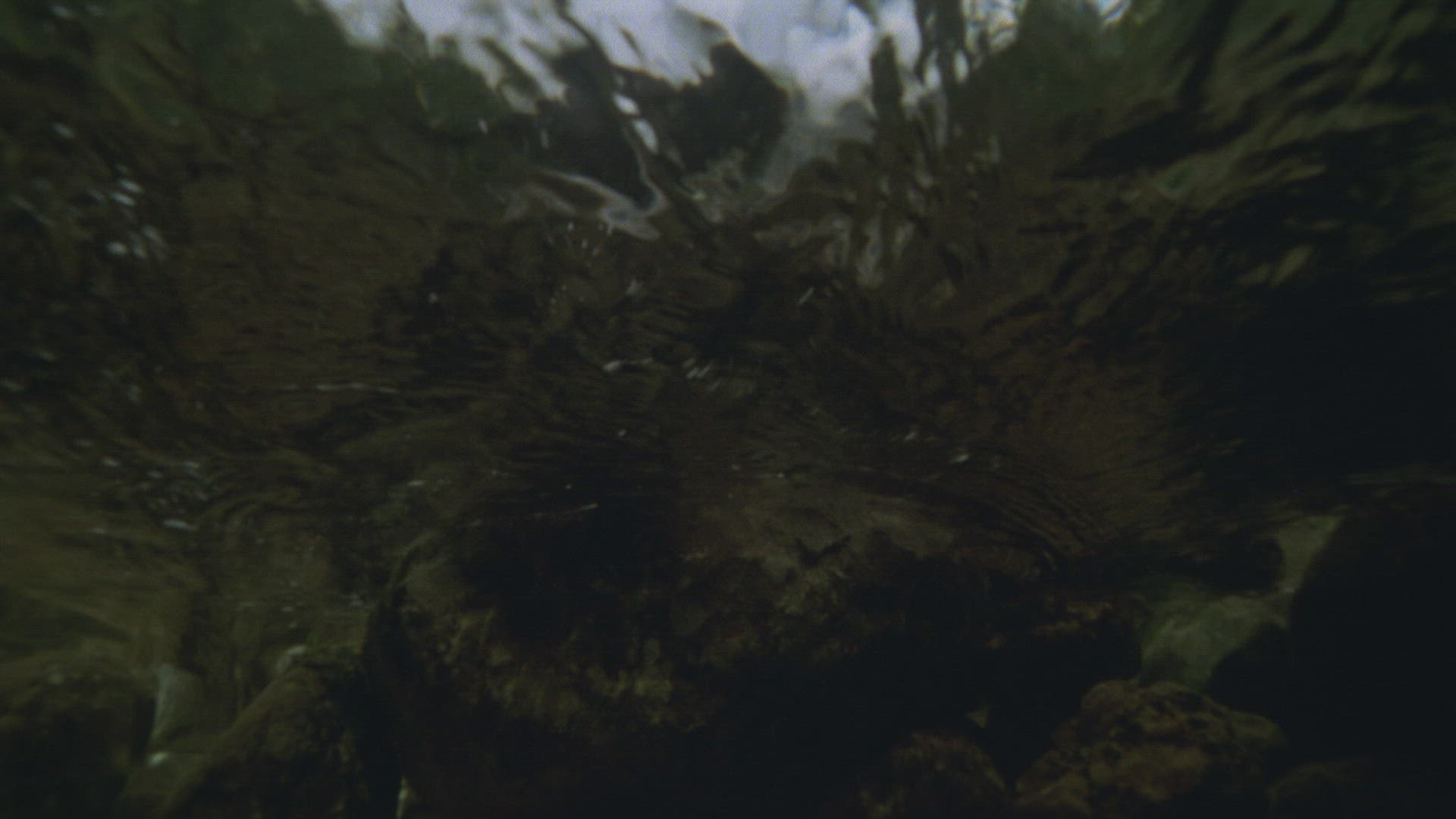 948899977 / Stream / Current / Water Surface / Underwater Shot