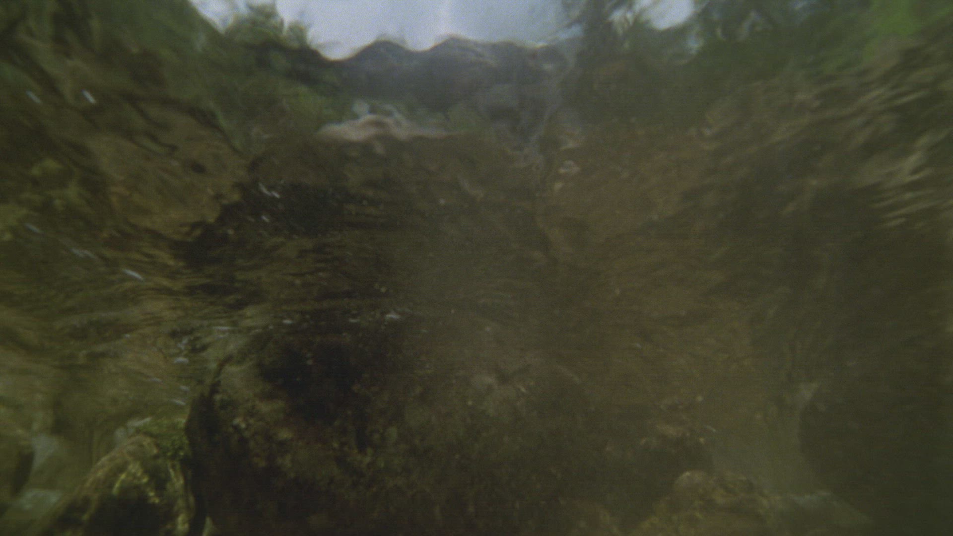 870366612 / Stream / Current / Water Surface / Underwater Shot