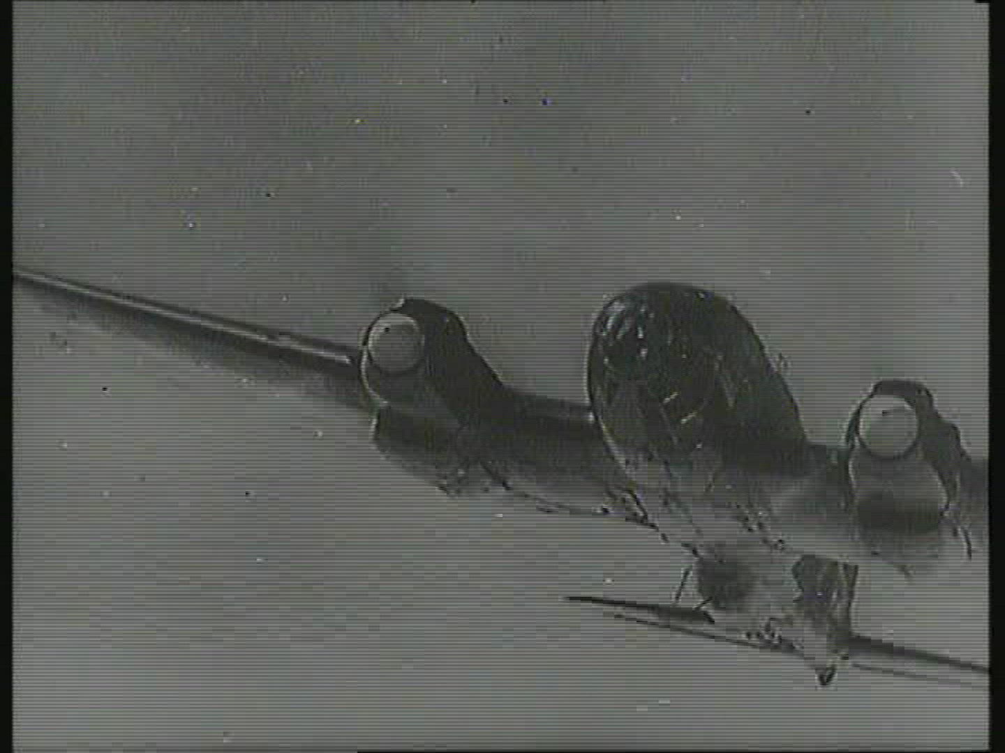 944513939 / War / Western Front / Second World War