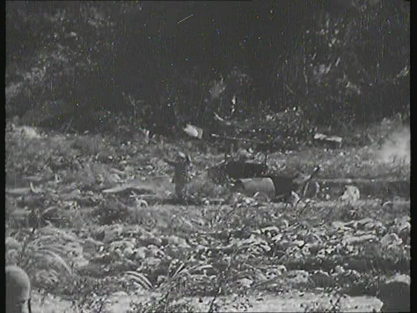 992617517 / Pacific War / Second World War