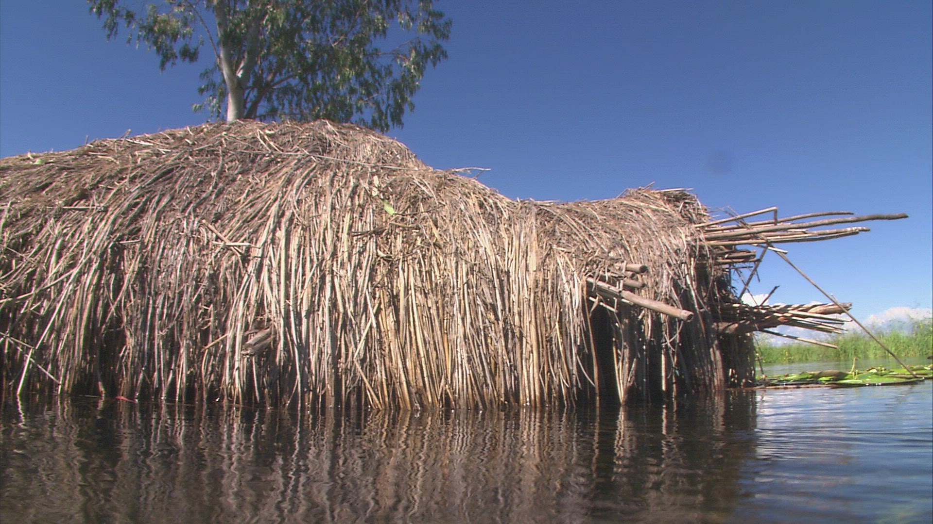 672663051 / House on Stilts / Maramba River / Zambia