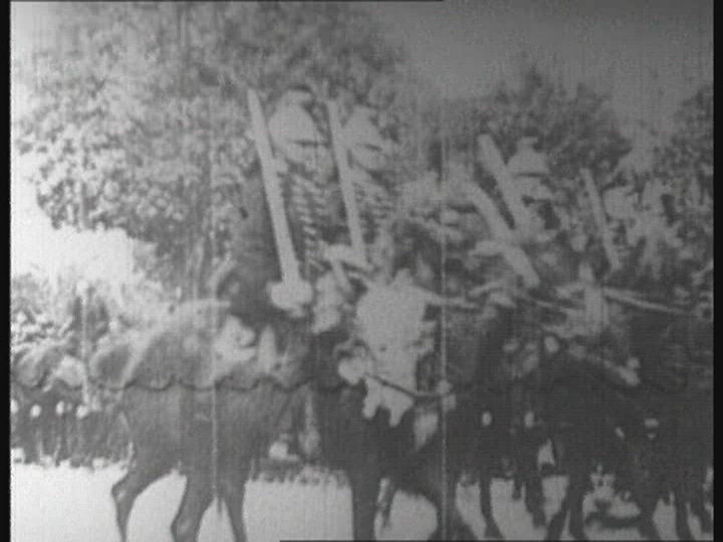 830536722 / Cavalry / Army / Lumière / 1896