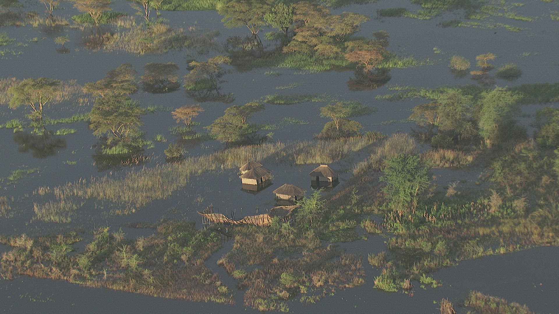 276203596 / House on Stilts / Zambezi Delta / Zambia