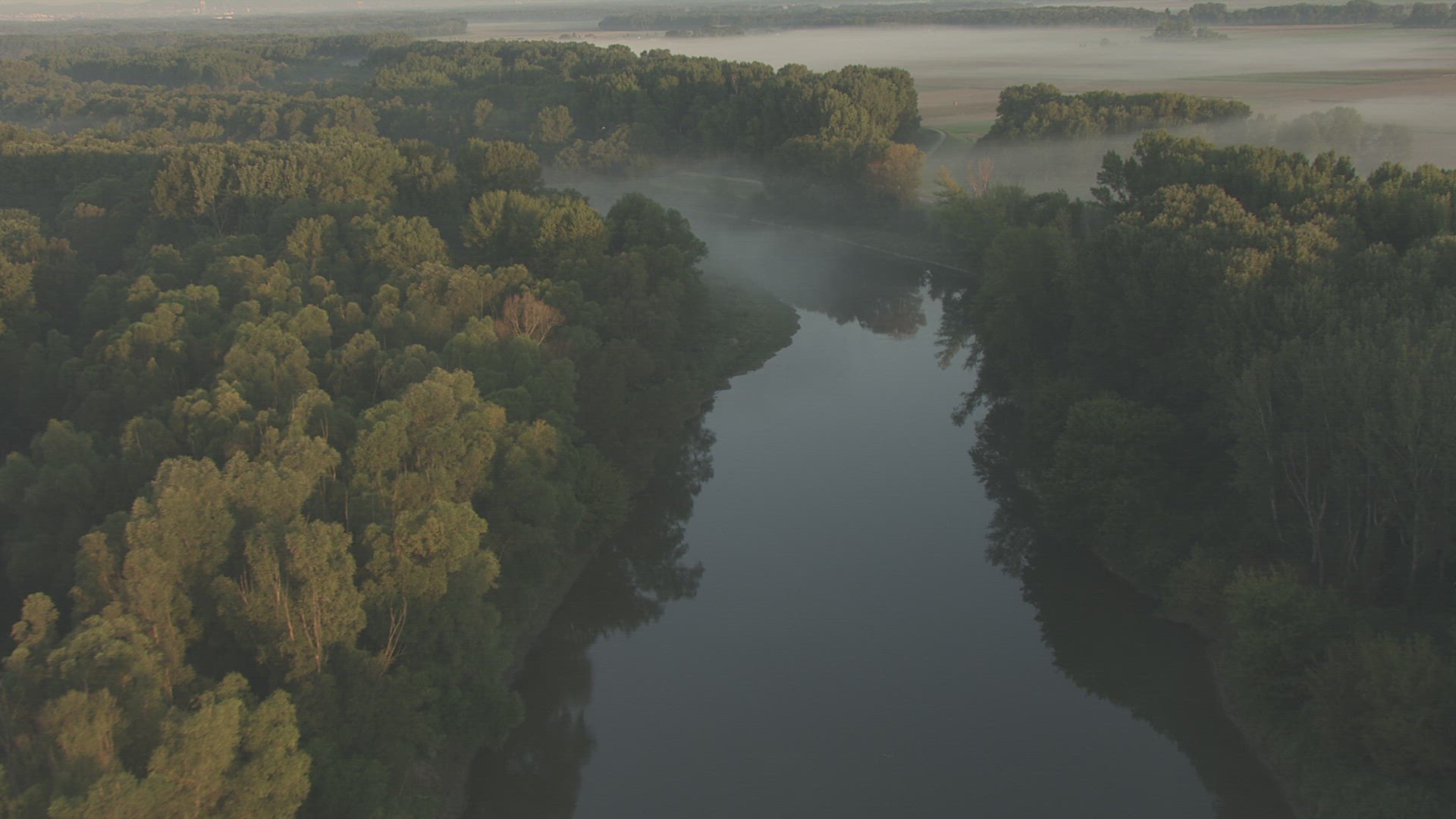 343239949 / Danube-Auen National Park / Danube / Austria