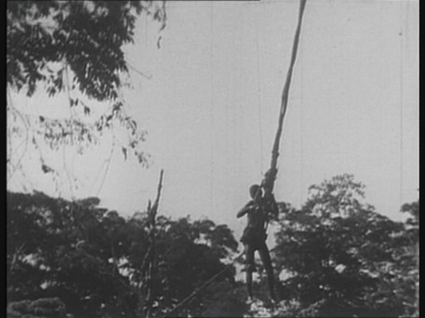539809752 / Pygmy / Africa / 1930-1939