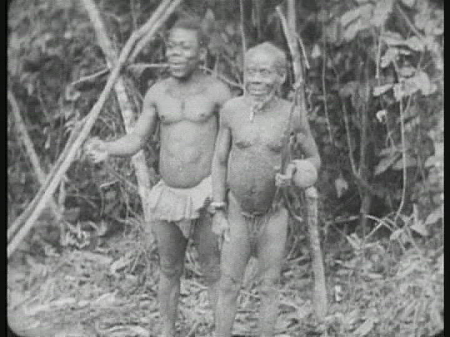 278617623 / Pygmy / Africa / 1930-1939