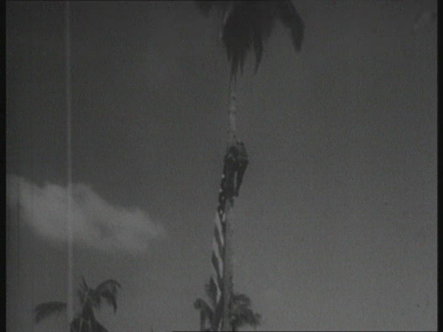 330389030 / Pacific War / Second World War
