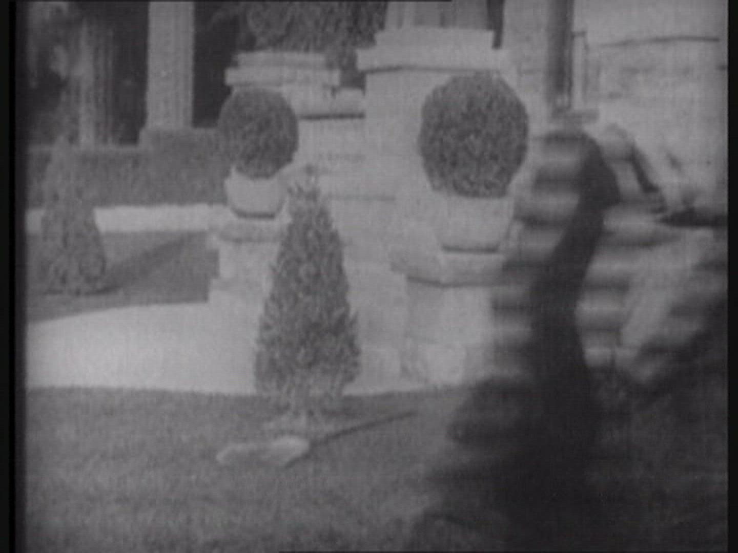 402711926 / Charlie Chaplin / Film / 1910-1919