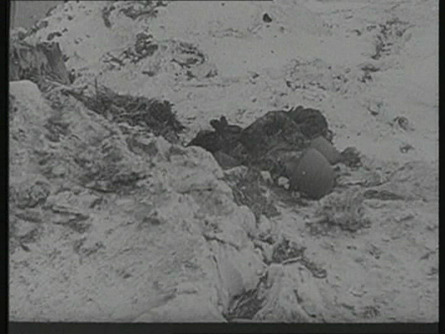 911018673 / Warfare / Finland / 1942