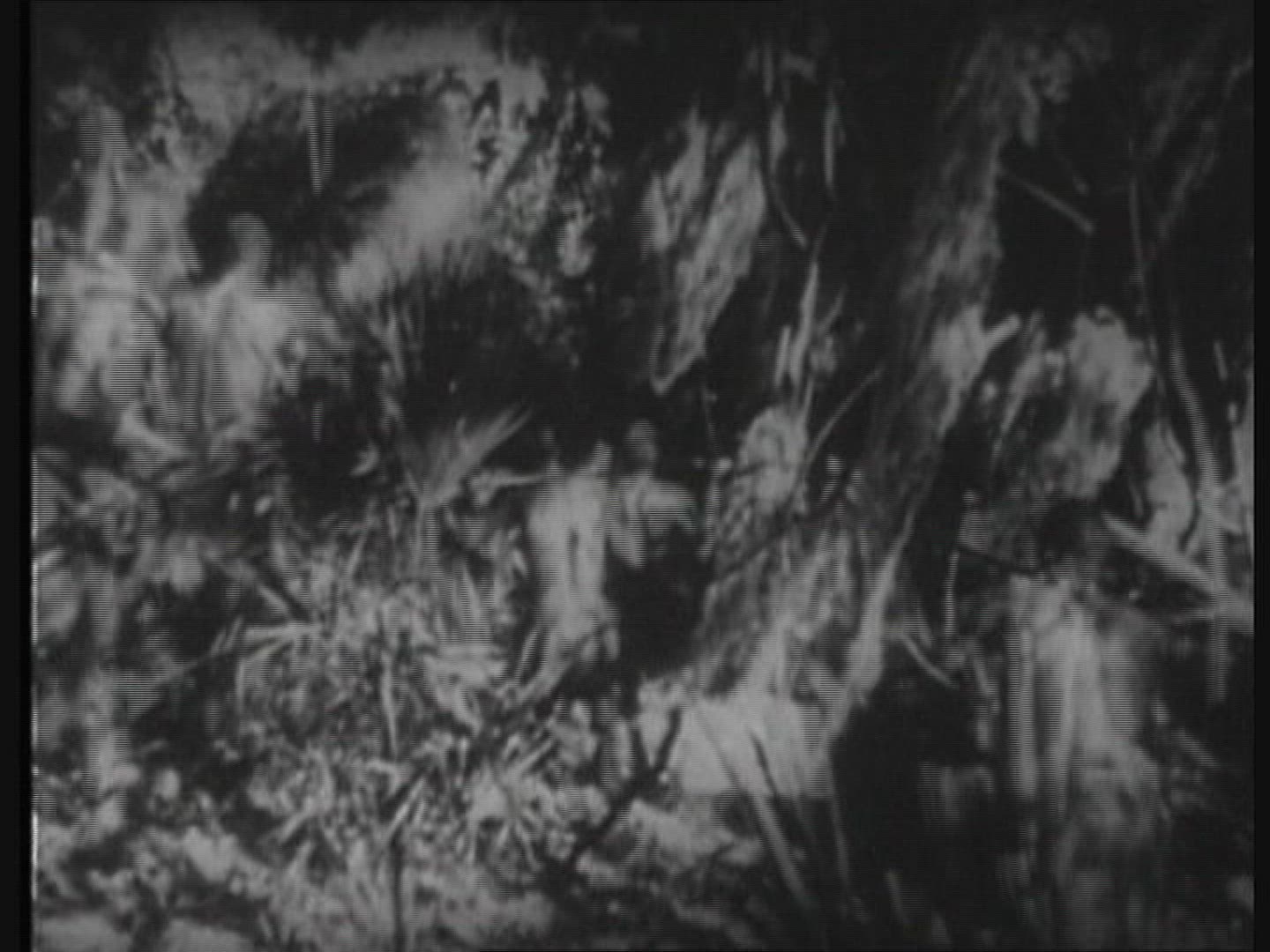 270273530 / Tarzan / Film / 1918