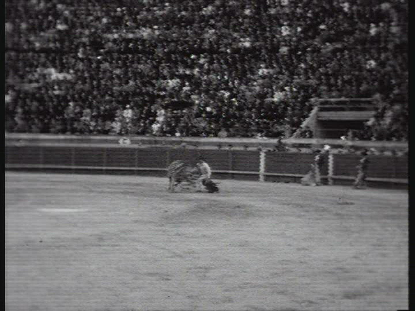 976475106 / Bullfighting / Spain / 1920-1929