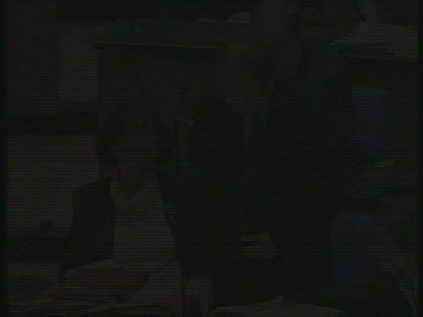 251289152 / Debate / Bundestag / Germany / 1995