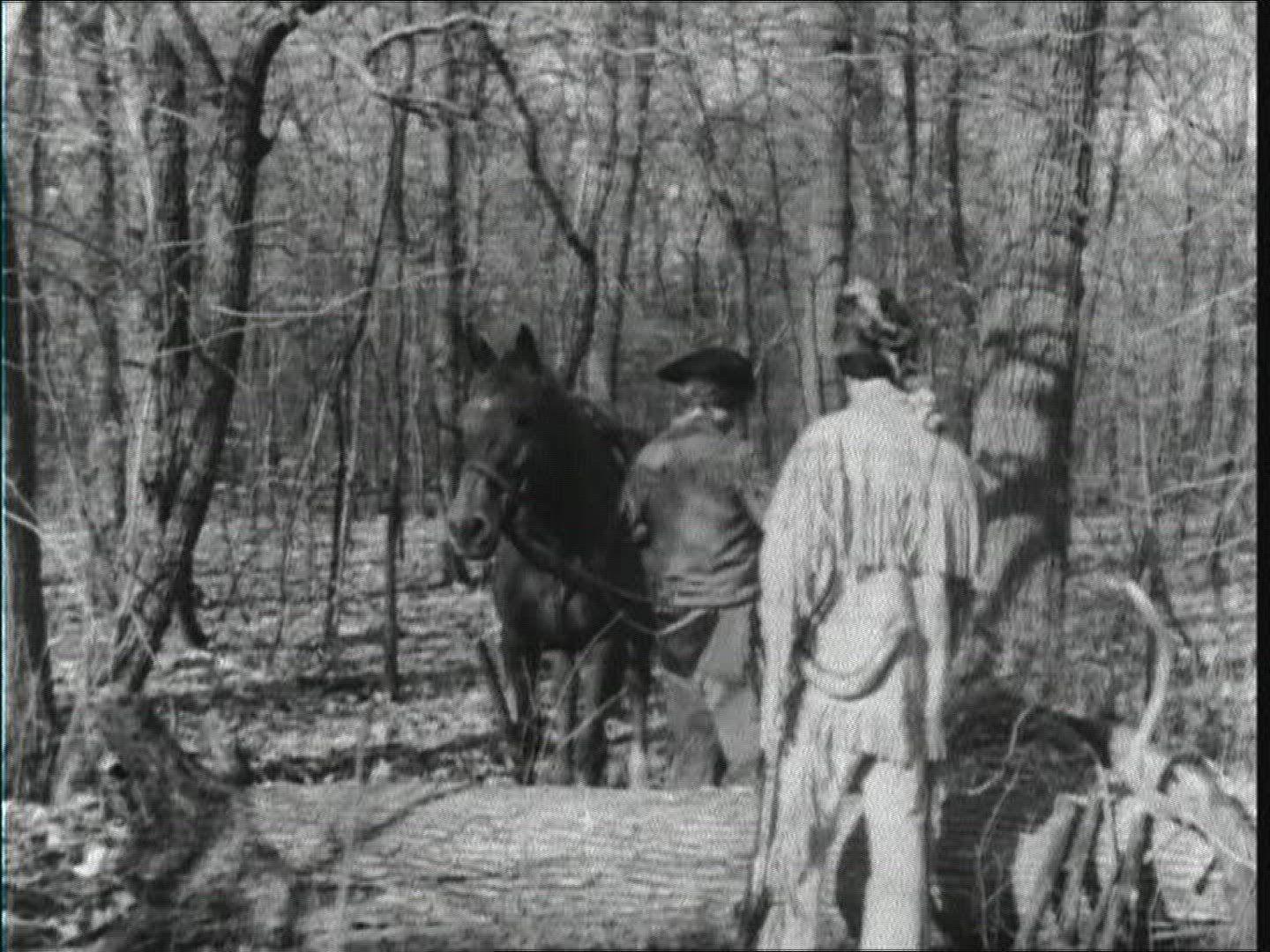 151374653 / Wild West / Census / USA