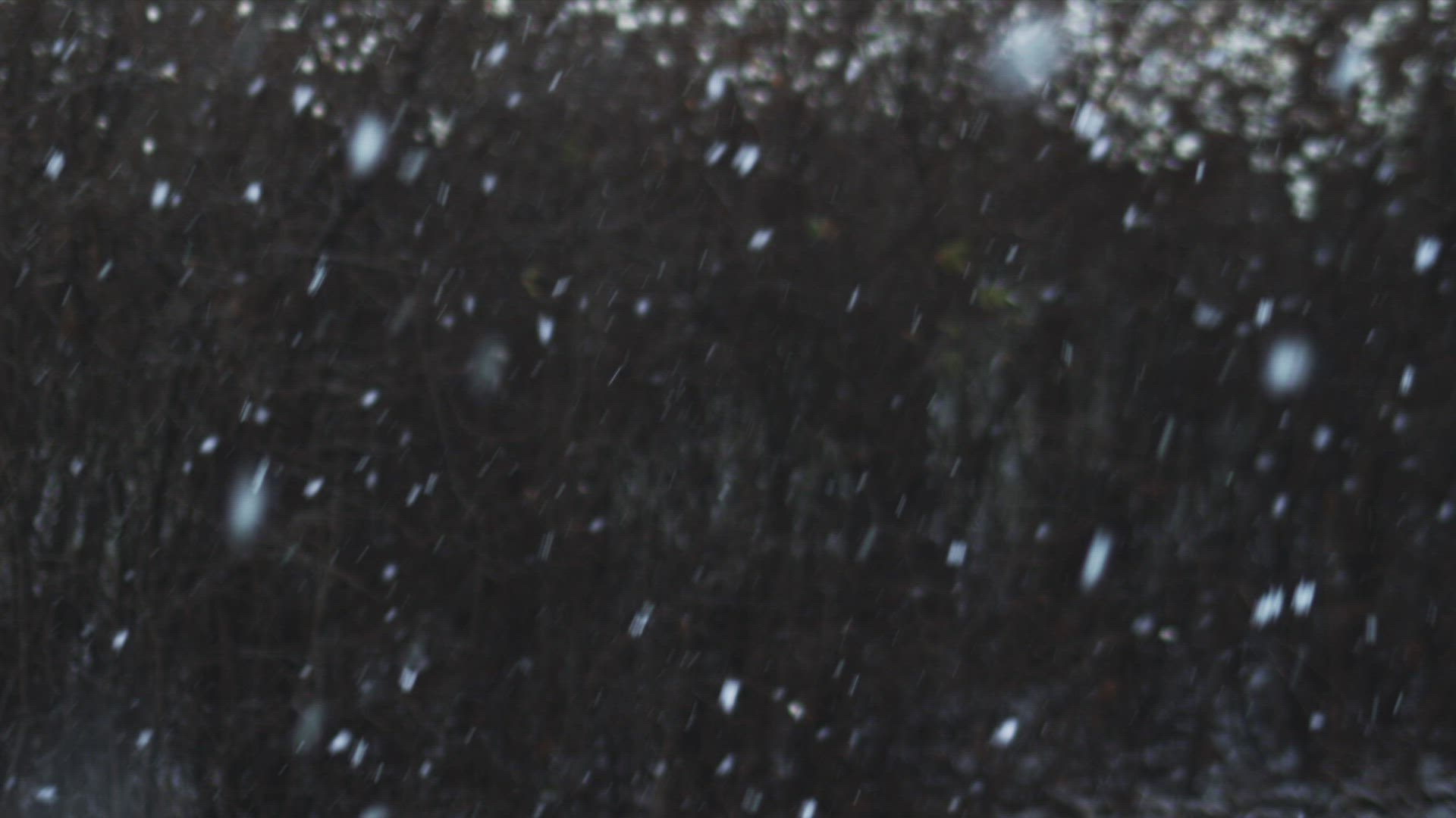 178919271 / Snowflake / Night