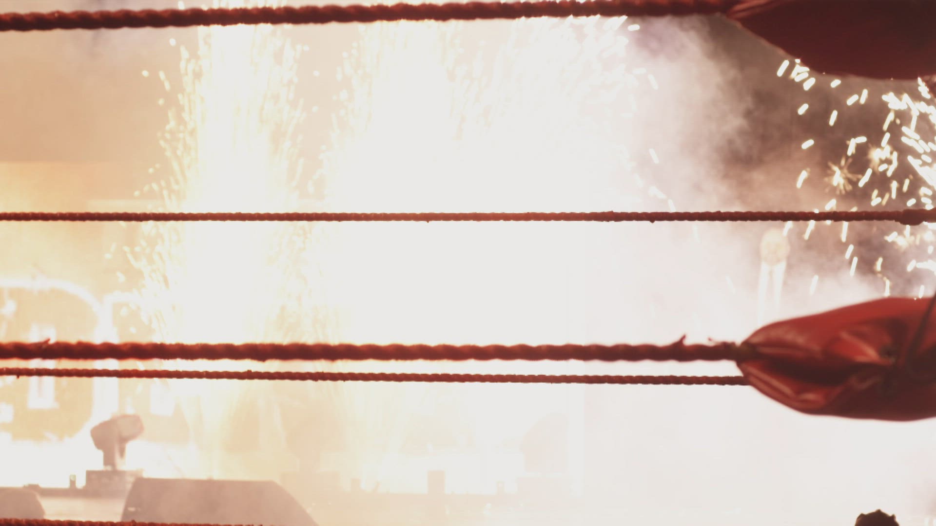266177445 / Viking Wrestling / Man / Hamar