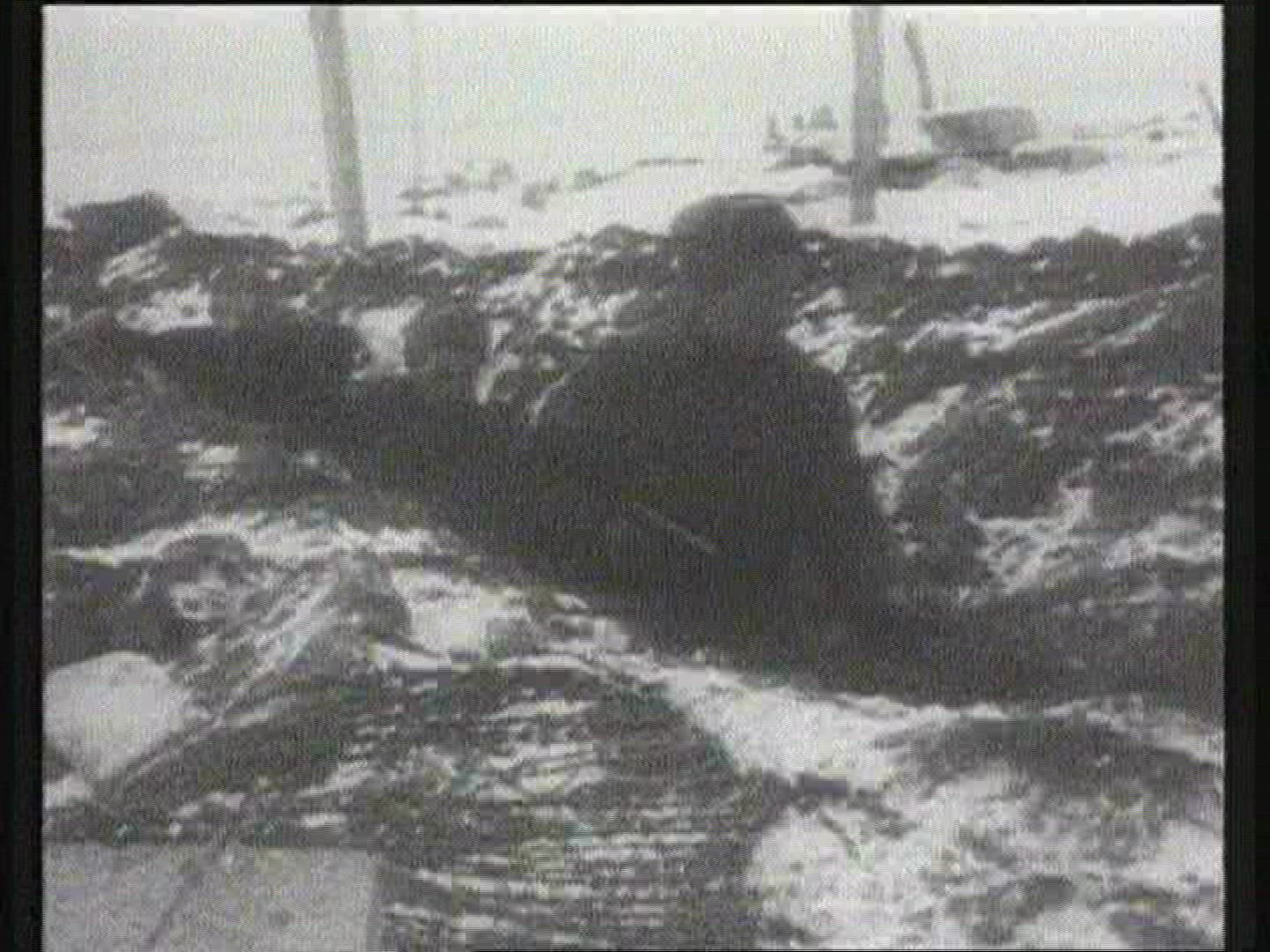 824942318 / Russian Campaign / Stalingrad / USSR / 1940-1949