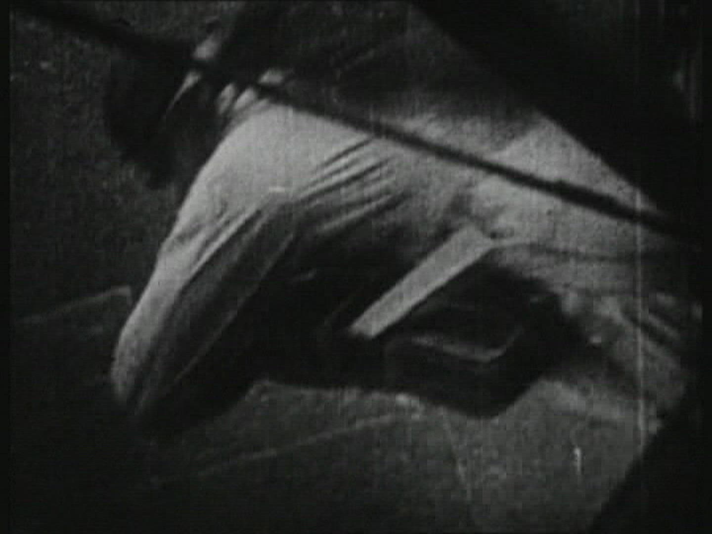 364003252 / Parachuting / 1930-1939
