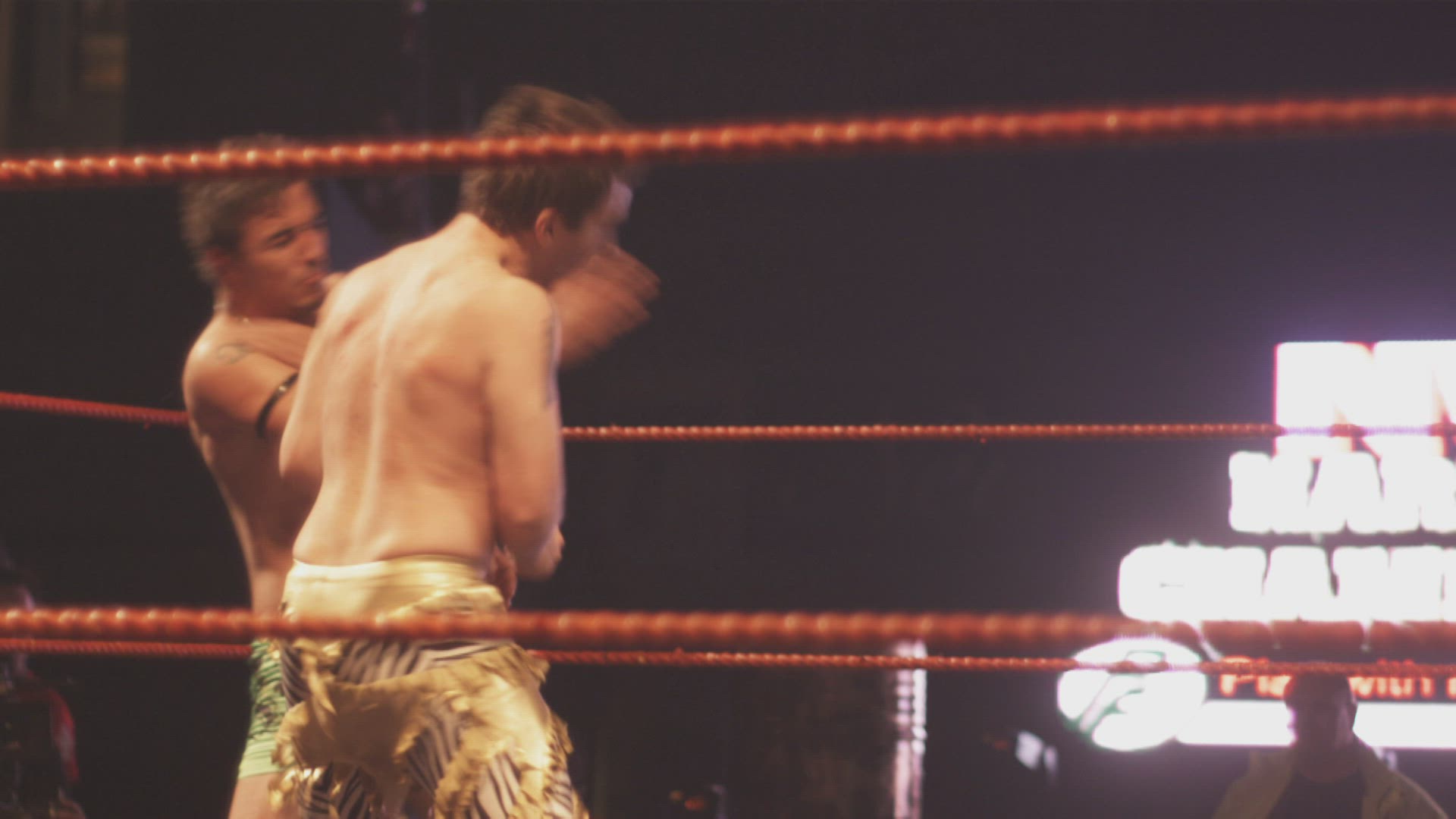 790198821 / Viking Wrestling / Man / Hamar