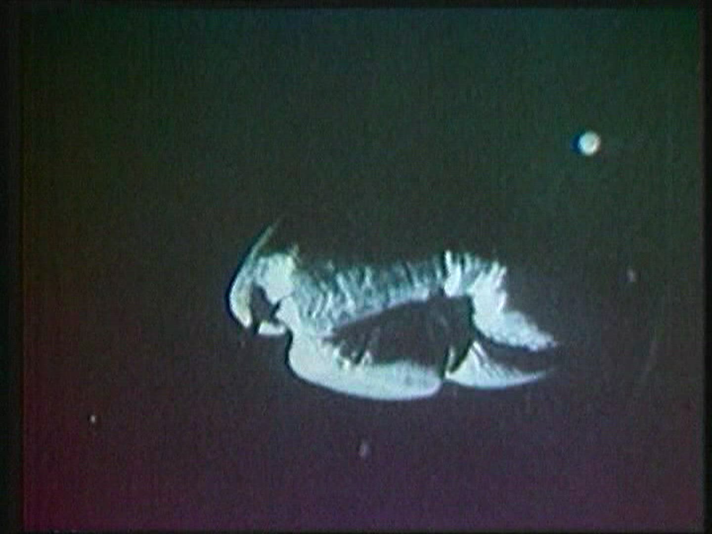 317289314 / Satellite / USA / 1960-1979
