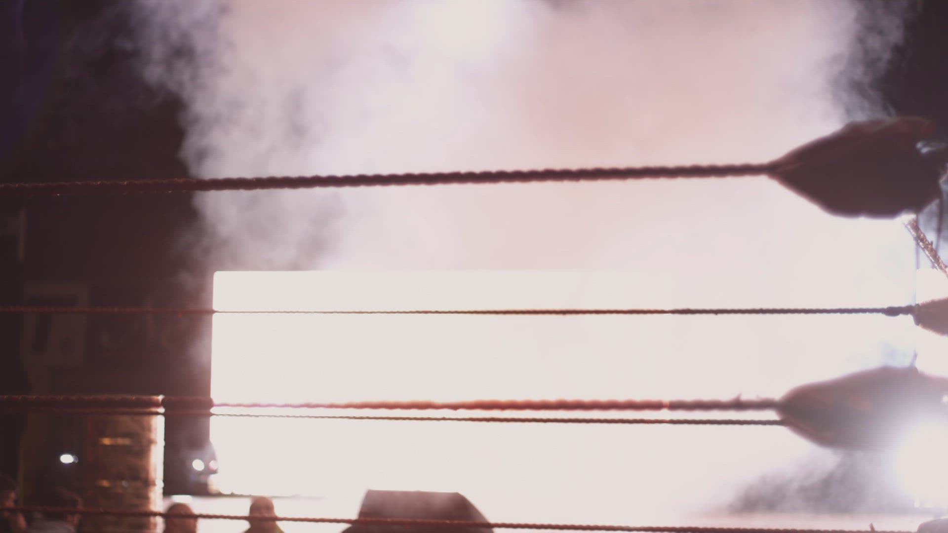 643502318 / Viking Wrestling / Hamar