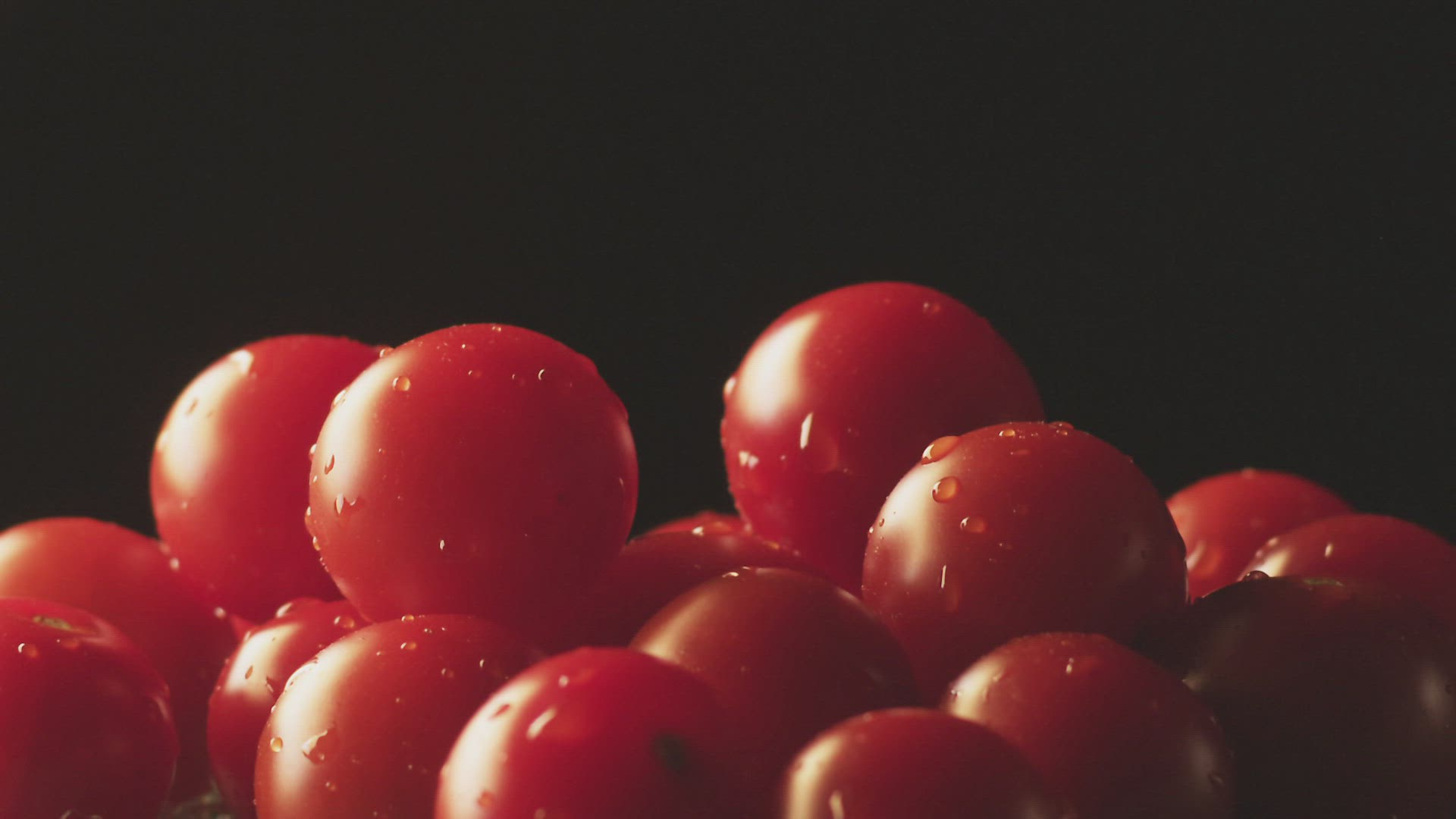 351636142 / Tomato / Freshness