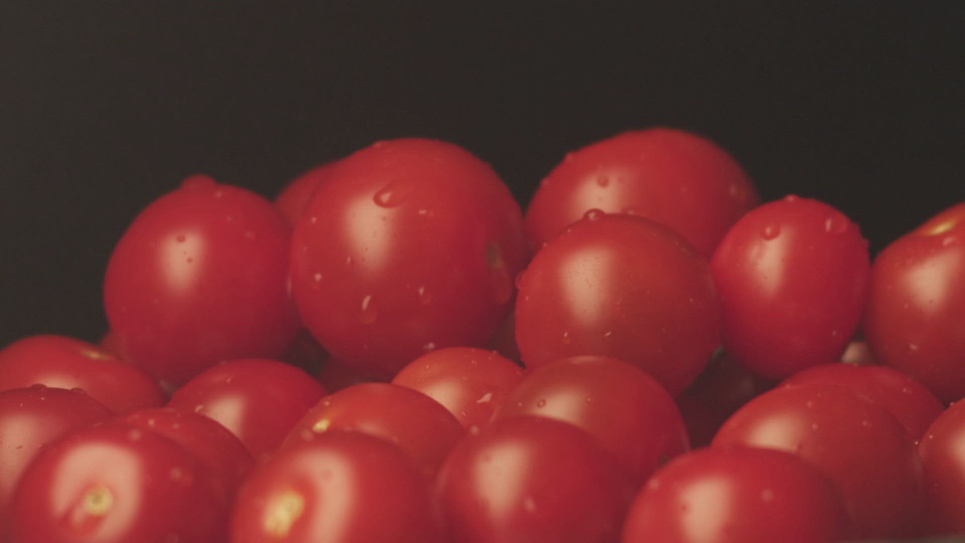 950250225 / Tomato / Freshness