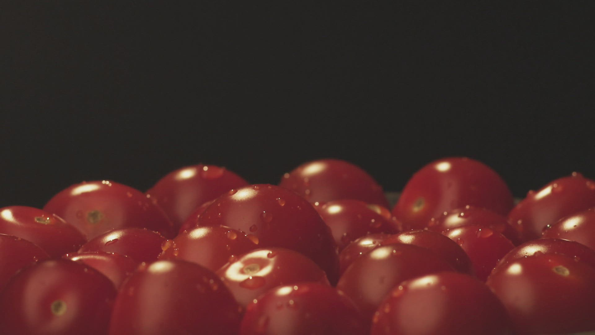 982082019 / Tomato / Freshness