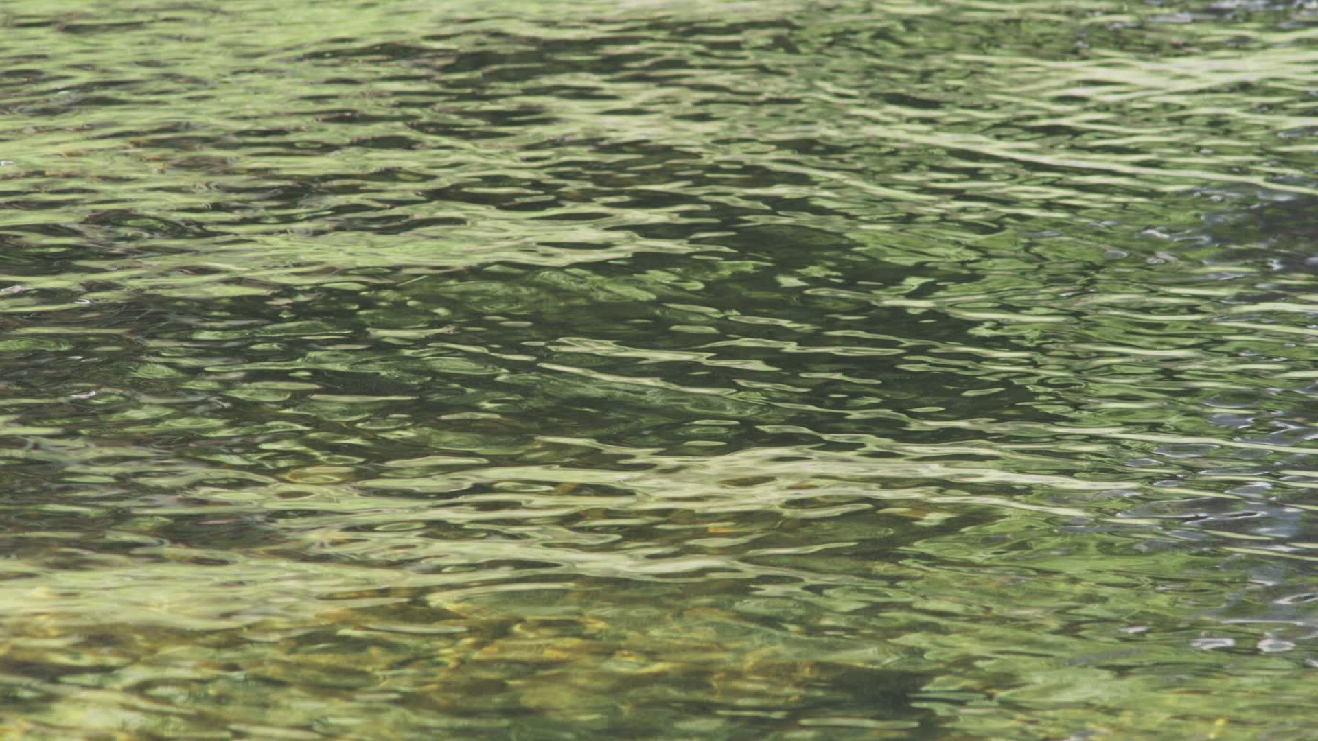 480178797 / Rippled / Lake Mjosa / Norway