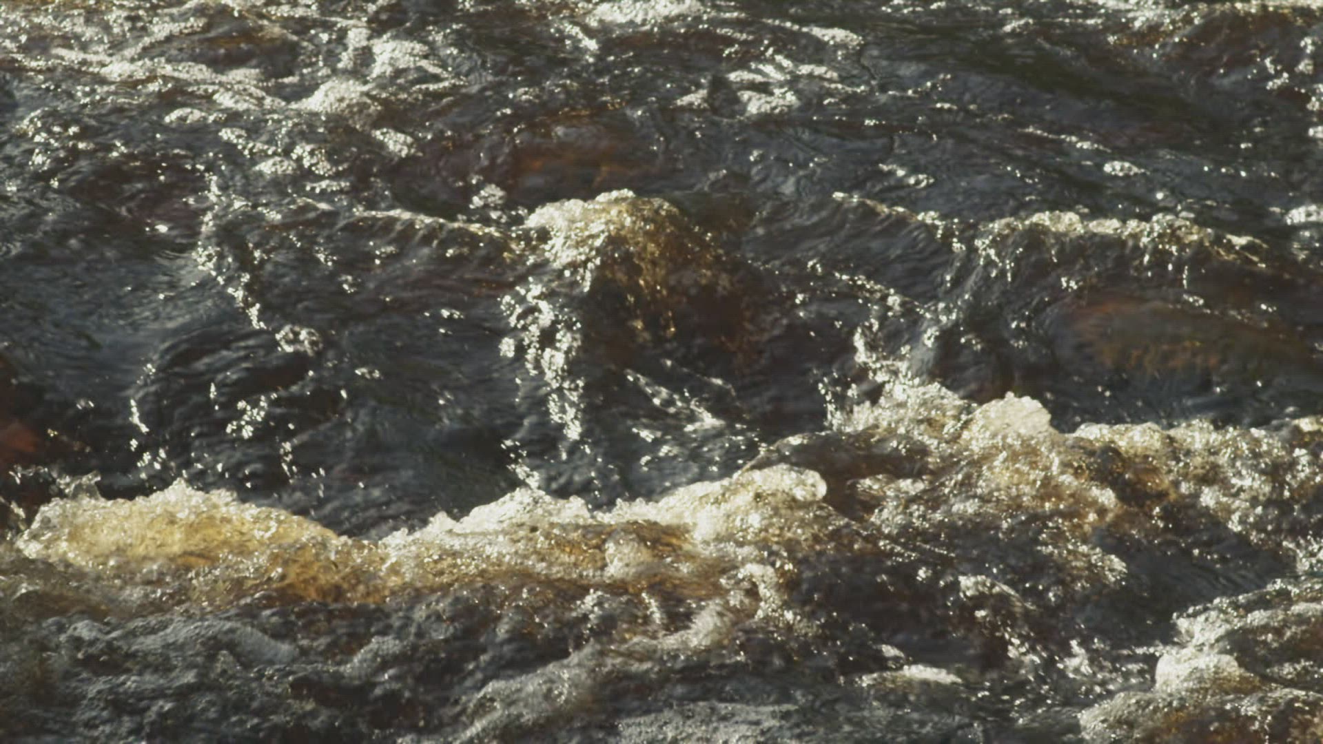 597118780 / Flowing Water / Stream / Norway